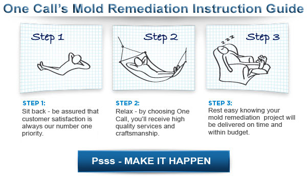Mold Inspection Guide